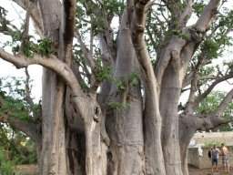 282204_10150257390809901_4860875_n